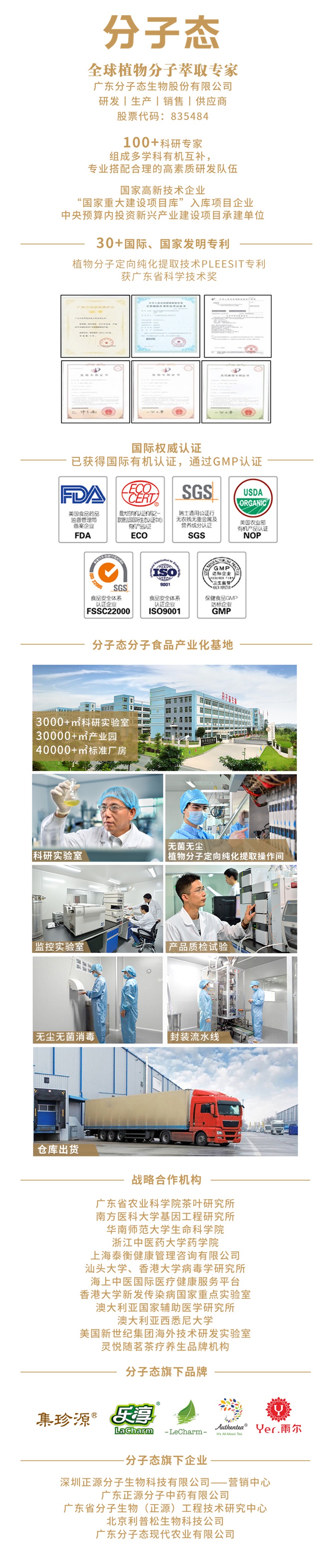 分子態(tài)實力介紹正式版.jpg